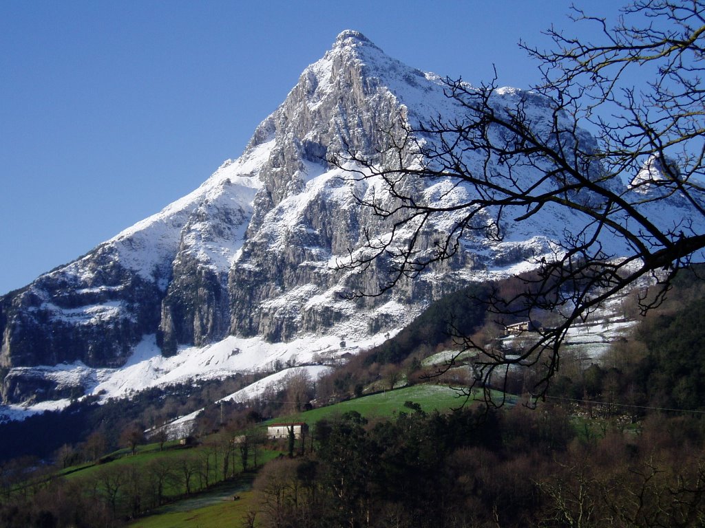 picosanvicente